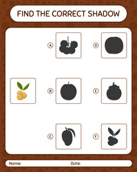 find the correct shadows game with longan vector image