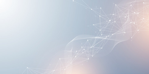 digital network connect data lines and dots vector image
