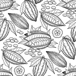 Cocoa Bean Pattern vector image