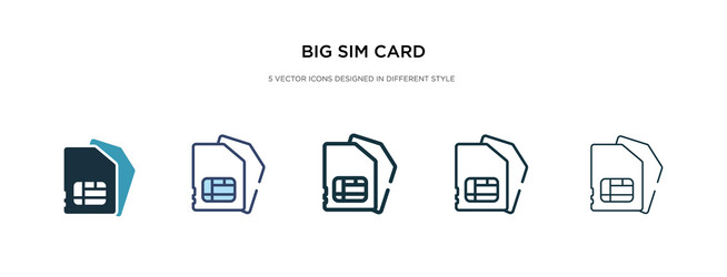 big sim card icon in different style two colored vector image