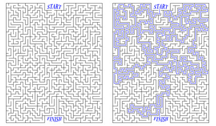 Complex Maze Puzzle - High Difficulty vector image