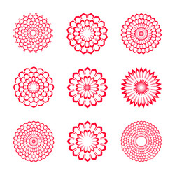 Decorative Circle Patterns vector image