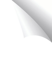 Paper Curl - Page Turning vector image