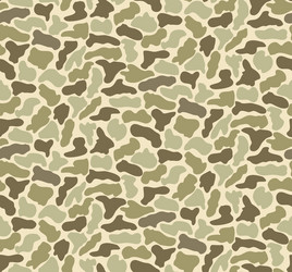 Abstract Camo Splash Pattern vector image