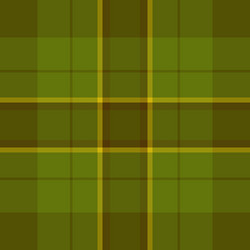 native pattern fabric tartan refresh check vector image