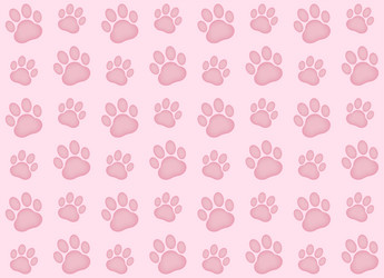 cat paw print seamless pattern in pink background vector image