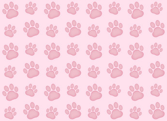 cat paw print seamless pattern in pink background vector