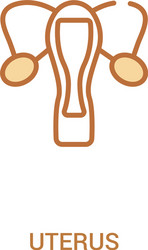 Uterus concept 2 colored icon simple line element vector