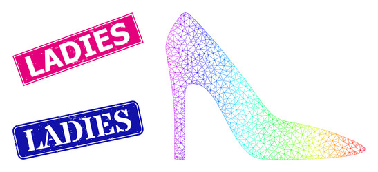 grunge ladies badges and spectrum net gradient vector image