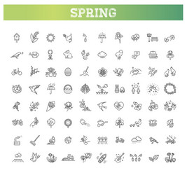 Spring Botanical Line Icons vector image