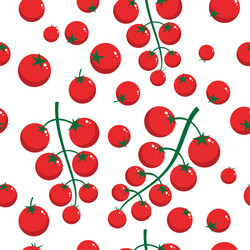 Seamless pattern cherry smal tomatoes vector