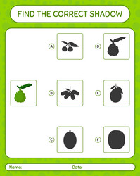 find the correct shadows game with kaffir lime vector image