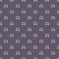 seamless color pattern with arrows motif vector image