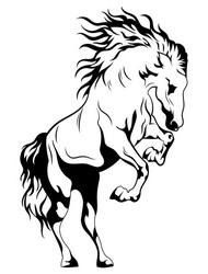 wild horse black and white Vector Image