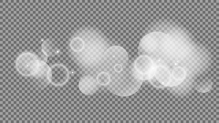bokeh circles on transparent background vector image