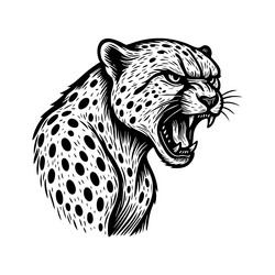 ferocious roaring cheetah head wildlife Vector Image
