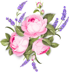 Purple Rose & Lavender Garland Vector Image