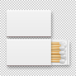 Realistic Closed & Opened Match Box vector image