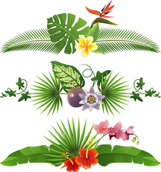 Tropical Floral Borders Vector Image
