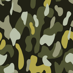 Camouflage pattern background seamless modern Vector Image