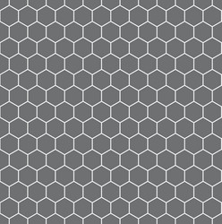 Dark Grey Hexagonal Pattern vector image
