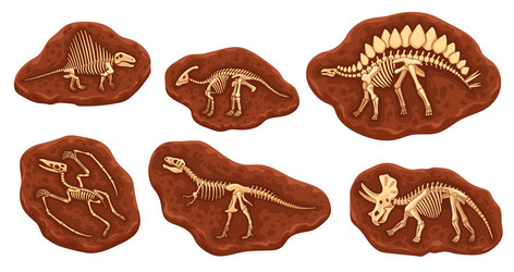Dinosaur Fossil Bones in Stone vector image