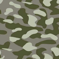 Camouflage pattern background classic clothing Vector Image