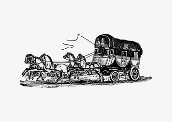 horse carriage vintage drawing vector