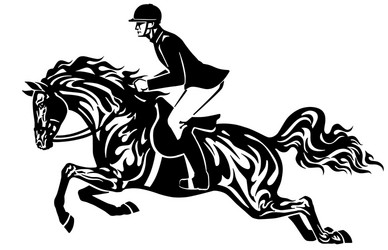 Horse Jumping Competition Vector Image
