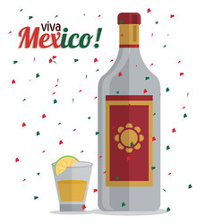 tequila bottle and shot icon mexico culture vector