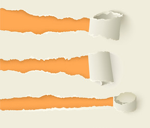 torn rolled paper with ripped edges set vector