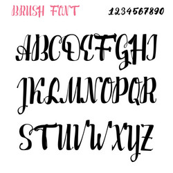 Calligraphic Brush Script Font vector image