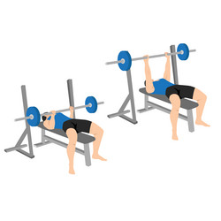 Man doing barbell bench press chest press Vector Image