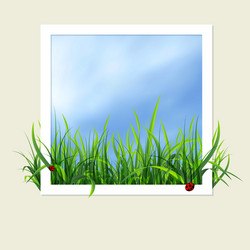 window with grass vector image