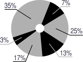 business data graph chart analytics vector image