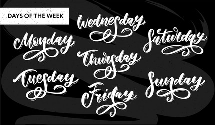 Handwritten week days and symbols set ink font vector