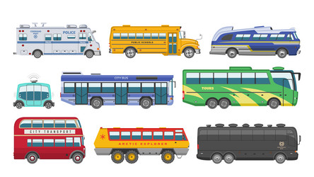 Public Transport & City Buses Vector Image
