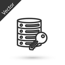 grey line server security with key icon isolated vector image
