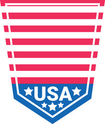 badge usa Vector Image