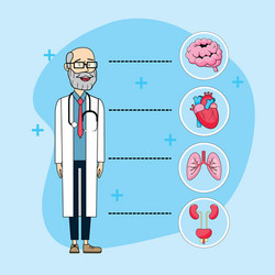 doctor stethoscope with brain and urinary system vector