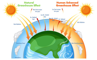 Diagram showing the greenhouse effect Royalty Free Vector
