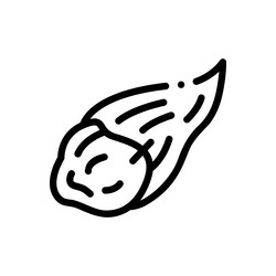 comet icon thin linear style design isolated vector image