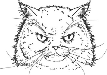 Angry Cat Coloring Pages Outline Sketch Drawing Vector, Cat