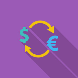 Currency exchange vector