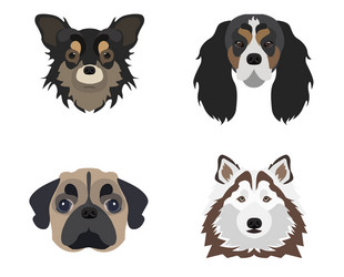 flat dog icon vector