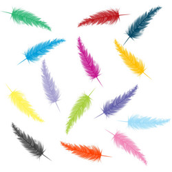 Flying white feathers falling realistic Royalty Free Vector
