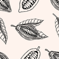 seamless pattern of cocoa beans vector image