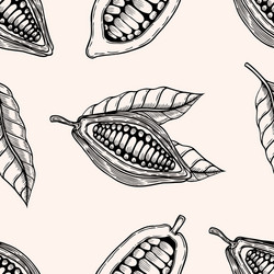 Seamless pattern of cocoa beans vector