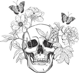Floral Skull with Butterfly Vector Image