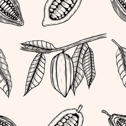 Seamless pattern of cocoa beans vector